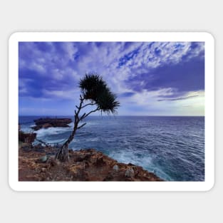 A palm tree on rock plateau with a rock island in the sea Sticker